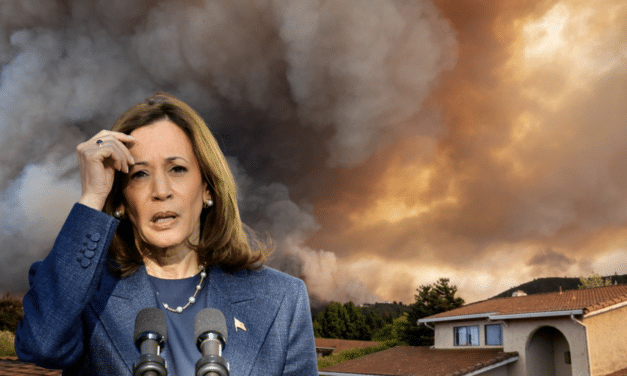 Wildfires in LA shift and head toward neighborhood of Kamala Harris